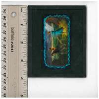 Plaque de lanterne magique employée pour la production de La création du monde